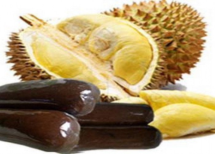 Musim Durian,!!!!  yuk.... Masak Makanan Tradisional Khas Bengkulu Lempuk Durian