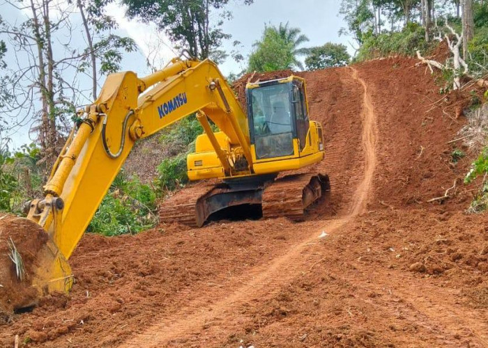 Oknum Kades Diduga Buka Kawasan Konservasi Taman Buru, Sudah Diingatkan BKSDA