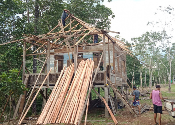  Mau Nikmati Suasana Rumah Dusun, Ayo Nginap di Wisata Napal Jungur Seluma