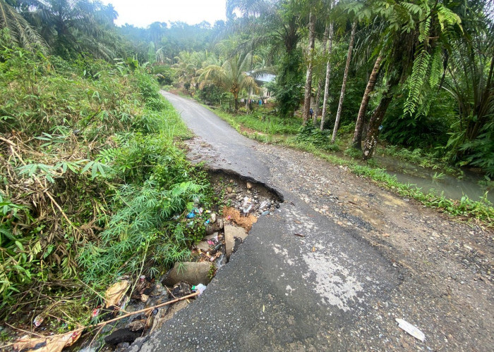  Jalan Amblas, Akses ke Ulu Talo Seluma Terancam Putus