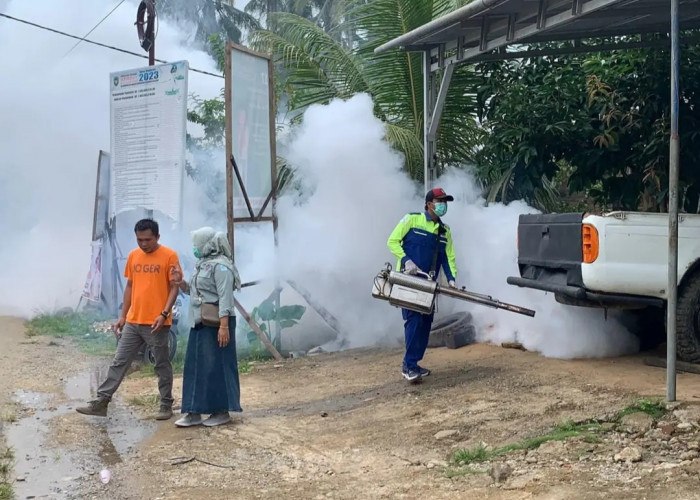 Fogging Bukan Pilihan Utama Memberantas Nyamuk Penyebab DBD