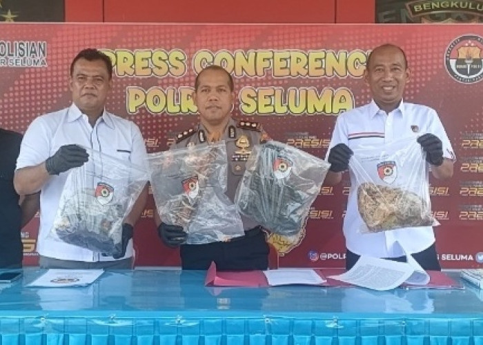 Petani Kopi B4cok Tetangga Hingga Tew4s