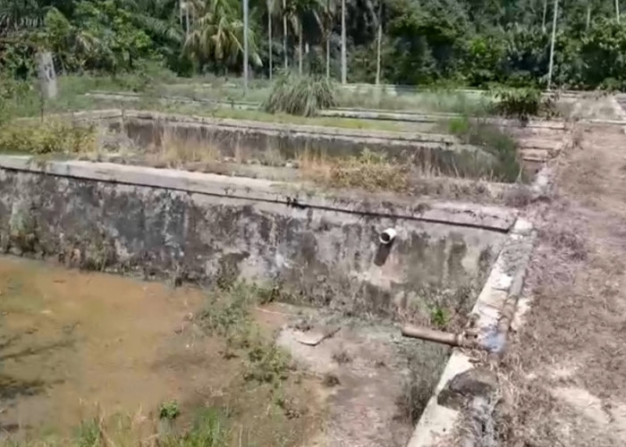  Ketua DPRD Seluma Prihatin, Dua Balai Benih Ikan Seluma Terbengkalai