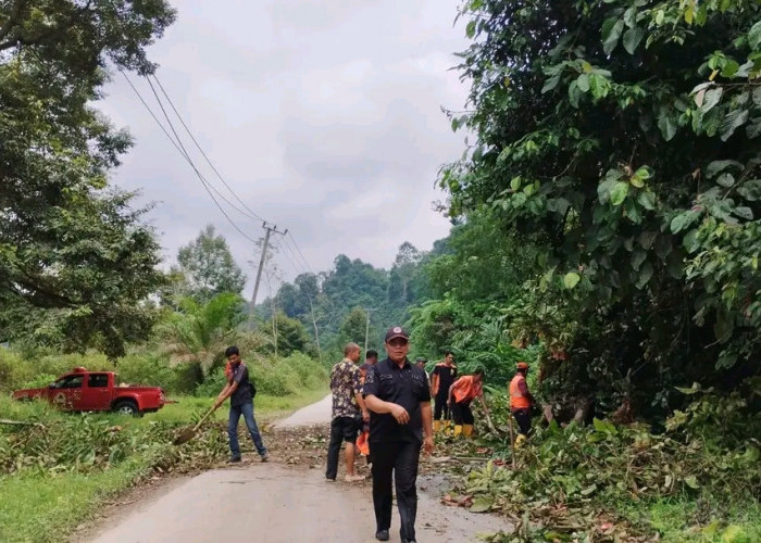 Tanah Longsor dan Pohon Tumbang di Desa Air Tenam Bengkulu Selatan, Tutupi Badan Jalan