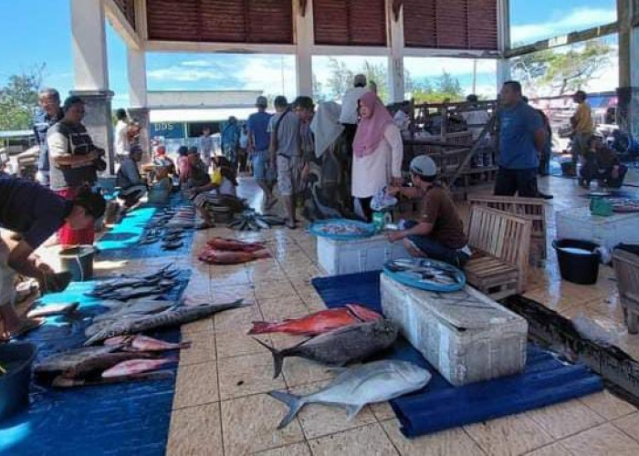 Angin Kencang Sulitkan Nelayan, Hasil Tidak Maksimal