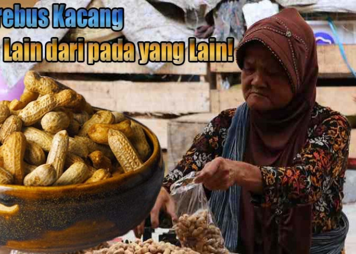 Cara Merebus Kacang Tanah, Cepat Empuk dan Rasanya Gurih! Rasa Aslinya Tidak Berubah!