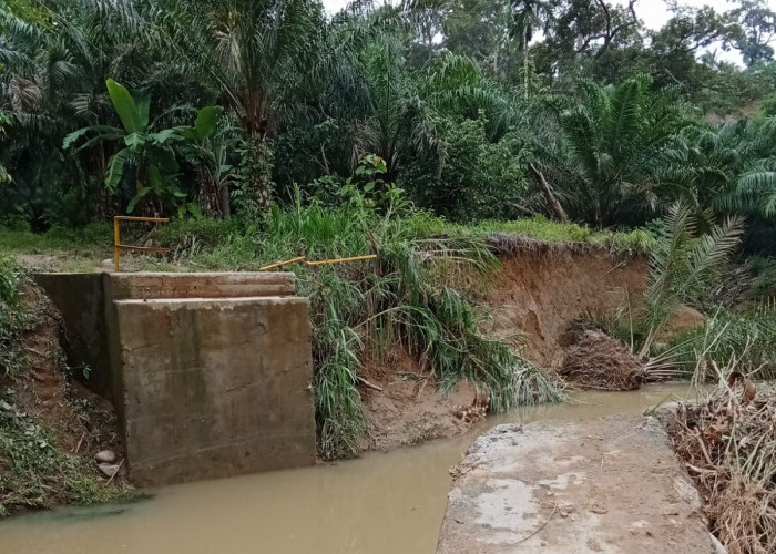 Akibat Jembatan Sungai Mertam BS Hanyut, Petani Kesulitan Angkut Hasil Pertanian