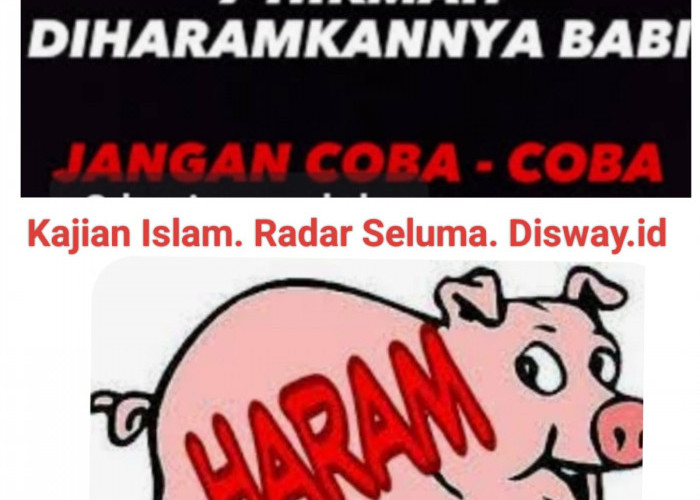  7 Hikmah Diharamkannya Babi Bagi Umat Islam, Berikut Penjelasannya