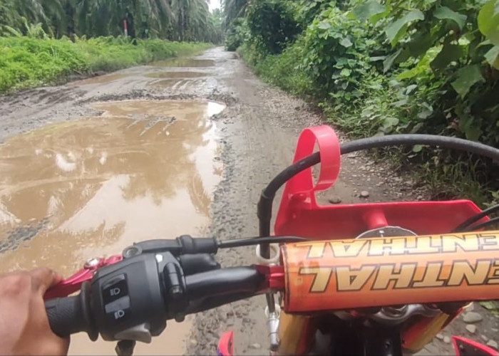 Jalan Peninggalan Inggris di Pesisir Rawa Indah–Pasar Seluma Rusak Parah, Warga Desak Perbaikan