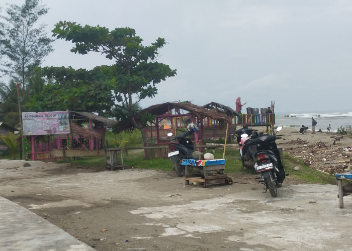 Pantai Pasar Bawah Bengkulu Selatan Dipenuhi Sampah Kayu