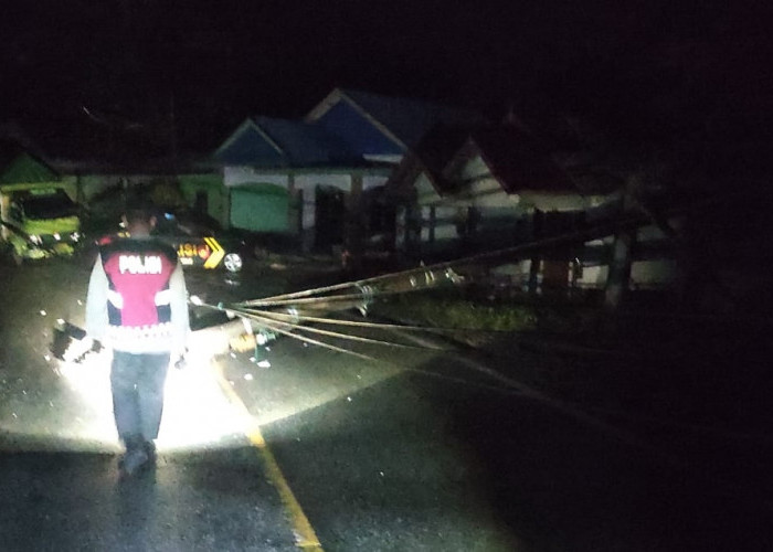 Diduga Sopir Ngantuk, Tiang Listrik Jadi Korban Serudukan Truk Box di Seluma