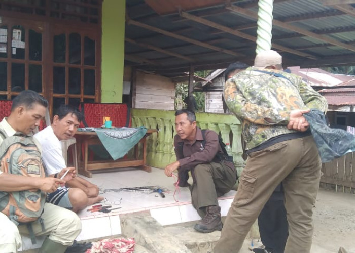 Lagi, Ayam Warga Lubuk Lagan Seluma Dimangsa Binatang Buas, Tim BKSDA Cek Lokasi