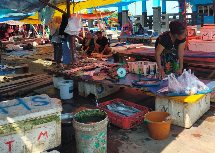 Semakin Sembrawut TPI Pasar Bawah Bengkulu Selatan