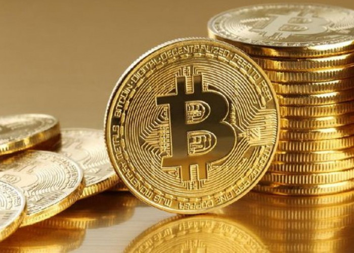 Bitcoin Semakin Tinggi, Mulai Digunakan Resmi di Beberapa Negara