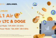Bitdeer Launches SEALMINER DL1 Air: Achieving 149 J/GH Power Efficiency and 25 GH/s for Scrypt Mining