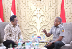 Wamentan Dorong Percepatan Investasi Fosfat Aljazair, Perkuat Pasokan Bahan Baku Pupuk Nasional