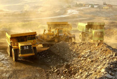 ESDM Tetapkan Tarif Denda Baru untuk Tambang yang Masuk Kawasan Hutan