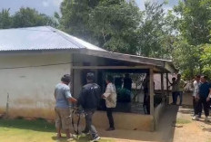 Pelaku Curanmor Diringkus Polsek Talo, Saat Santai di Rumah