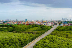 PT Terminal Petikemas Surabaya Perluas Ruang Terbuka Hijau, Perkuat Ekosistem Pelabuhan 