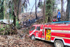 Pemegang HGU Dihimbau Lakukan Tindakan Pencegahan Kebakaran Hutan