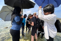 Kuva Space Bersama Wwf-Indonesia Hadirkan Teknologi Satelit Hiperspektral,  Monitoring Ekosistem Karbon Biru