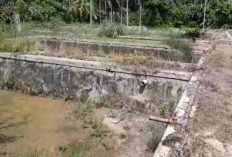 Status Lahan Milik BWSS VII Hambat Rehabilitasi BBI Lubuk Kebur