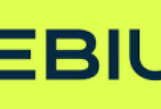  Pertumbuhan pesat, Nebius melakukan ekspansi ke kawasan Asia-Pasifik