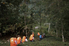 Pernyataan Resmi BPN, Warga Tidak Boleh Garap Lahan Cagar Alam
