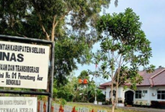 Diduga Nonprosedural, PMI Asal Seluma Dipulangkan dari Singapura