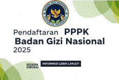 Pendaftaran PPPK Badan Gizi Nasional Tahap 2 Resmi Dibuka, Kuota 32.000 Formasi untuk Program MBG, Cek Disini!