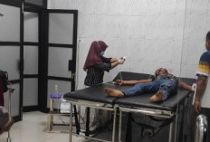Seorang Pengendara Motor Tewas dalam Kecelakaan Adu Kambing di Sukamerindu Seluma