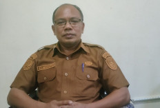   Pilkades Serentak 2027 Diikuti 85 Desa di Seluma, Rencananya E-Voting
