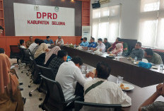 Hearing Ke DPRD Seluma, Eks Honorer Seluma Minta Difasilitasi Audiensi ke DPR RI dan KemenPAN-RB