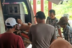 Tangan Kanan Siswa SMP di Seluma Putus, Kecelakaan Kerja di Pabrik Batu Bata