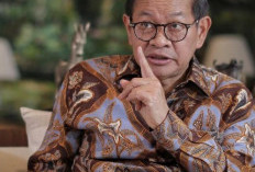 Plastik Mahal, Gubernur Jakarta Minta Pedagang Makanan Manfaatkan Daun Pisang