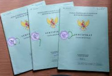 Pemilik Sertifikat Tanah Terbitan 1961–1997 Tidak Berlaku Lagi? Ini Penjelasannya