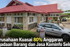 Dua Perusahaan Kuasai 80,1 Persen Anggaran Pengadaan Diskominfo Seluma 
