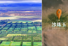 Qinghai Seimbangkan Restorasi Ekologi dengan Ambisi Energi Bersih