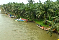 Dampak Siklon Tropis, Mayoritas Nelayan di Seluma Pilih Berhenti Melaut
