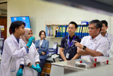   Menaker Siapkan Strategi agar Pemagangan Nasional 2026 Jangkau Semua Provinsi