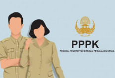 Pemerintah Perpanjang Masa Transisi Aturan Belanja Pegawai 30 Persen, Alhamdulillah PPPK Tidak Dirumahkan? 