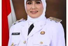 KPU Tegaskan Wagub Babel Gunakan Ijazah SMA, Polisi Tetapkan Tersangka  Ijazah S-1 Palsu