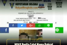Catut Logo dan Nama Rakyat Bengkulu, Ada Website Tampilkan Screenshot Wajah  Wanita Sedang Video Call