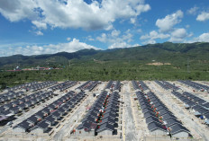 Dua Tahun Kabinet Merah Putih, Realisasikan Pengadaan Tanah 22.966 Hektare untuk Infrastruktur