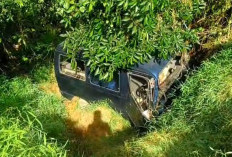 Akibat Gagal Menyalip Truk, Minibus Terjun ke Jurang di Padang Pelasan Seluma