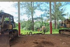 Tiga Unit Alat Berat PUPR Seluma Diusulkan Dilelang, Alami Rusak Berat