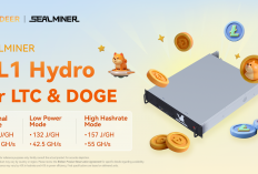 Bitdeer Launches SEALMINER DL1 Hydro Achieving 52.5 GH/s and 149 J/GH Power Efficiency