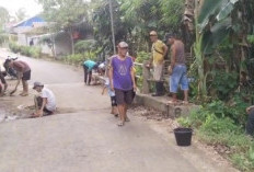 Tak Kunjung Diperbaiki Pemda, Jembatan Amblas Serindingan Seluma, Perbaiki Secara Swadaya