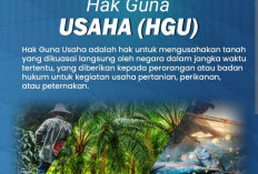 Berapa Luas Tanah yang Harus Menjadi HGU? Ini Penjelasan Berdasarkan Aturan