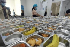 Tak Semua Pegawai SPPG MBG Diangkat PPPK, Ini Kriteria Resmi dari Badan Gizi Nasional